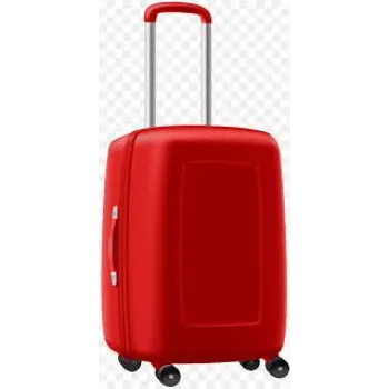 Appearance Luggage Trolley Bag